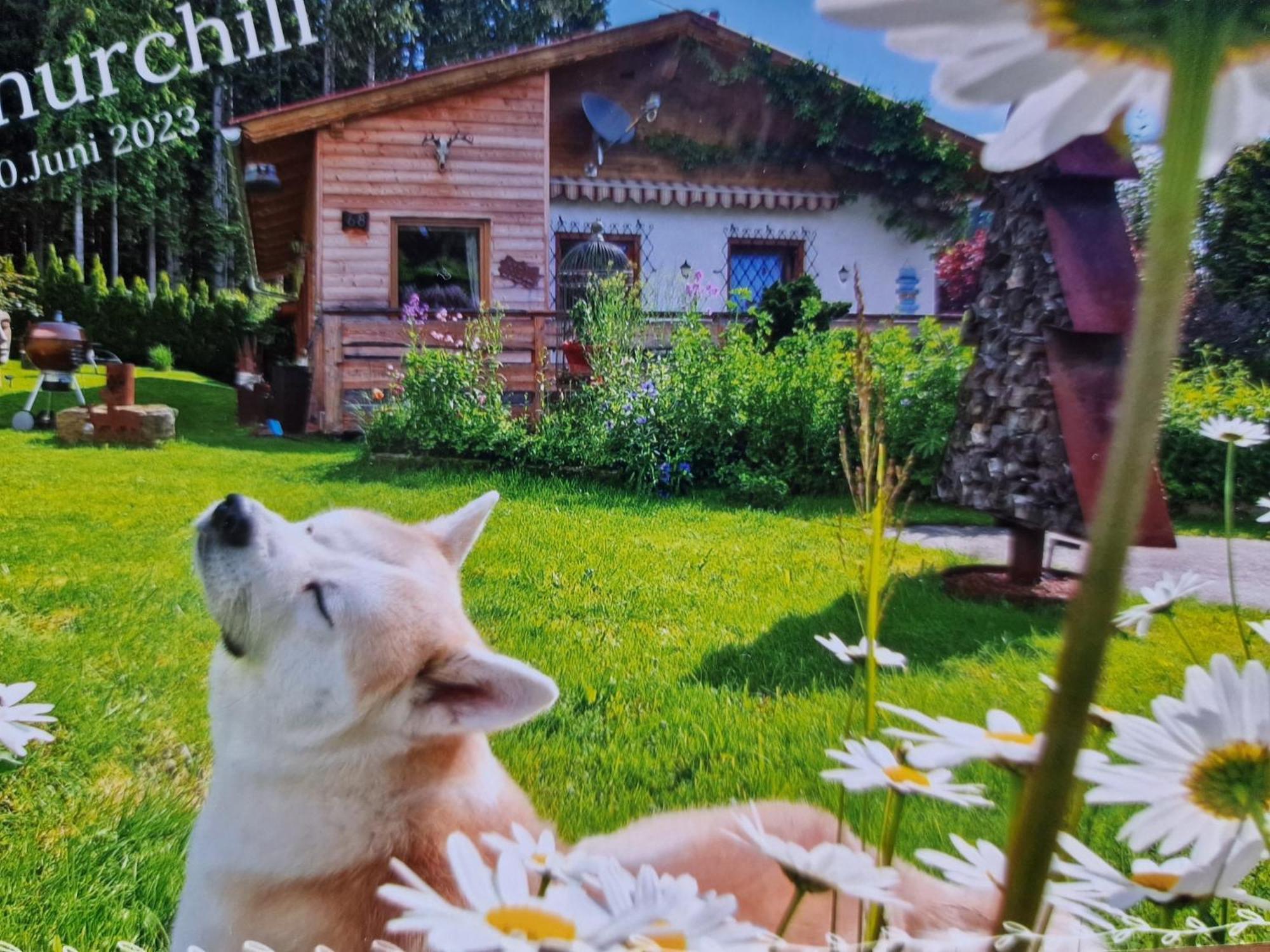 Knusperhaeuschen Maria Nikoletta Villa Witra Luaran gambar